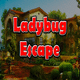 8b ladybug escape