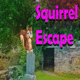 8b squirrel escape