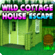 Avm wild cottage house escape