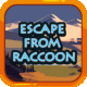 Escape from raccoon