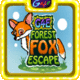 Forest fox escape