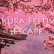 Sakura festival escape