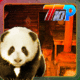 Thanksgiving rescue the panda