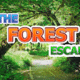 The forest escape