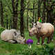 Wow escape from rhino forest